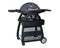 Ziegler & Brown Twin Grill Fixed Mobile Cart